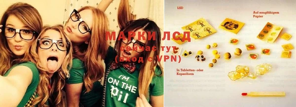 дживик Баксан