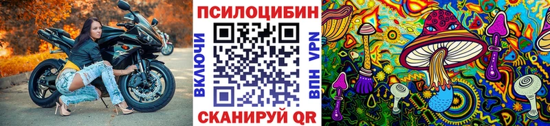 где найти Белово Галлюциногенные грибы Cubensis