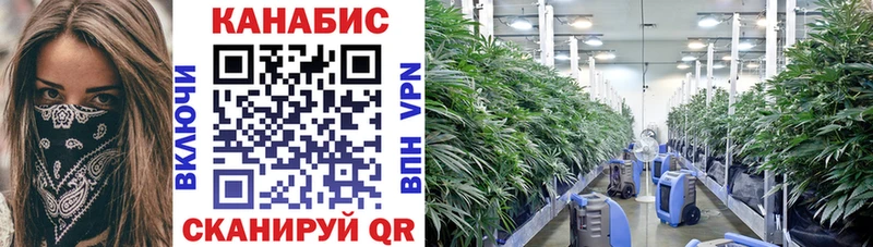Каннабис Ganja  блэк спрут ссылки  Белово 
